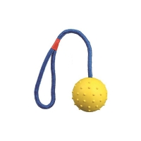 Piłka kauczukowa na niebieskim sznurku dla psa